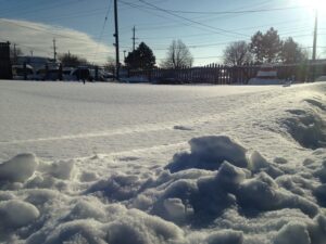 Winter Gardening